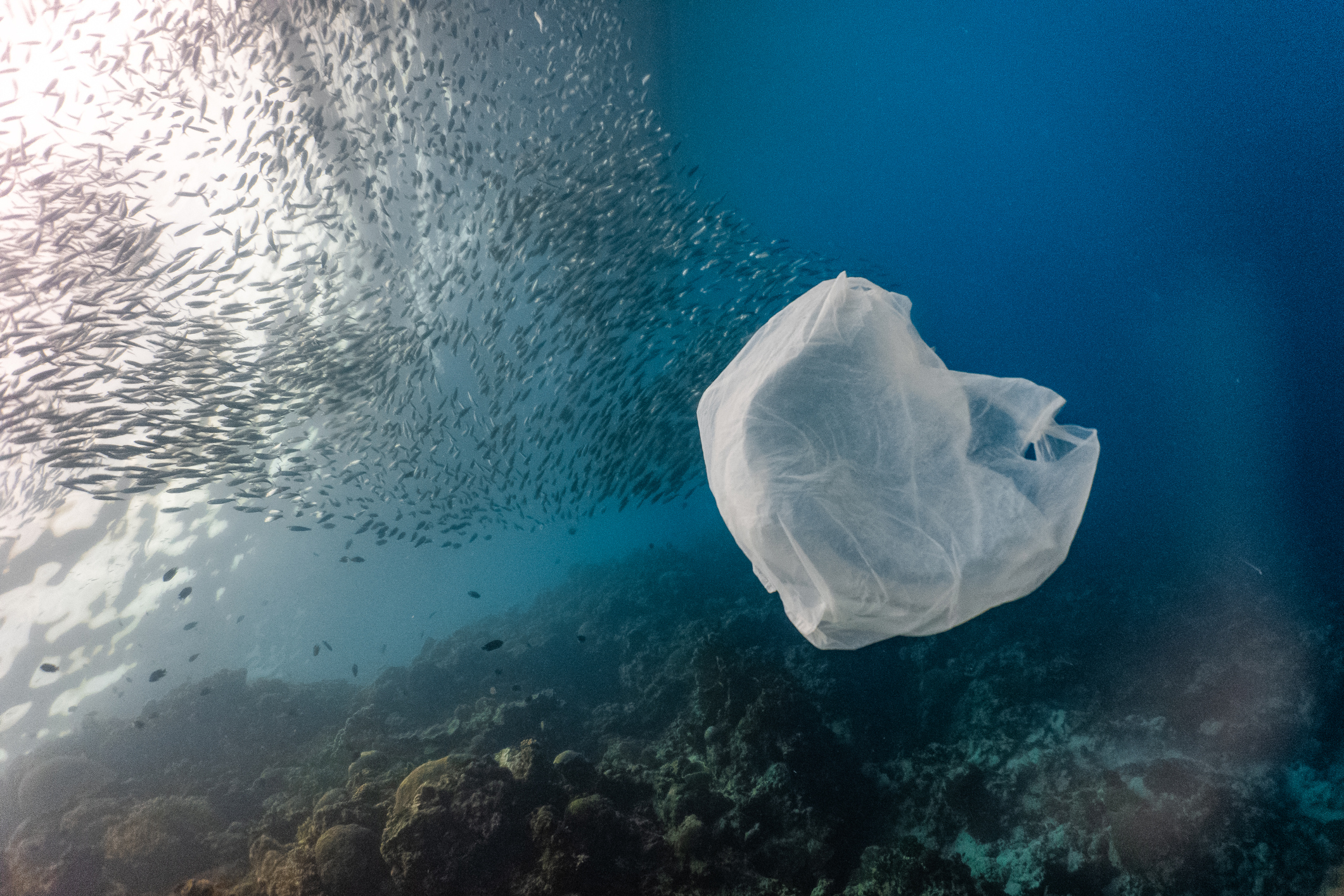 How retailers are reacting to the ban on single-use plastics