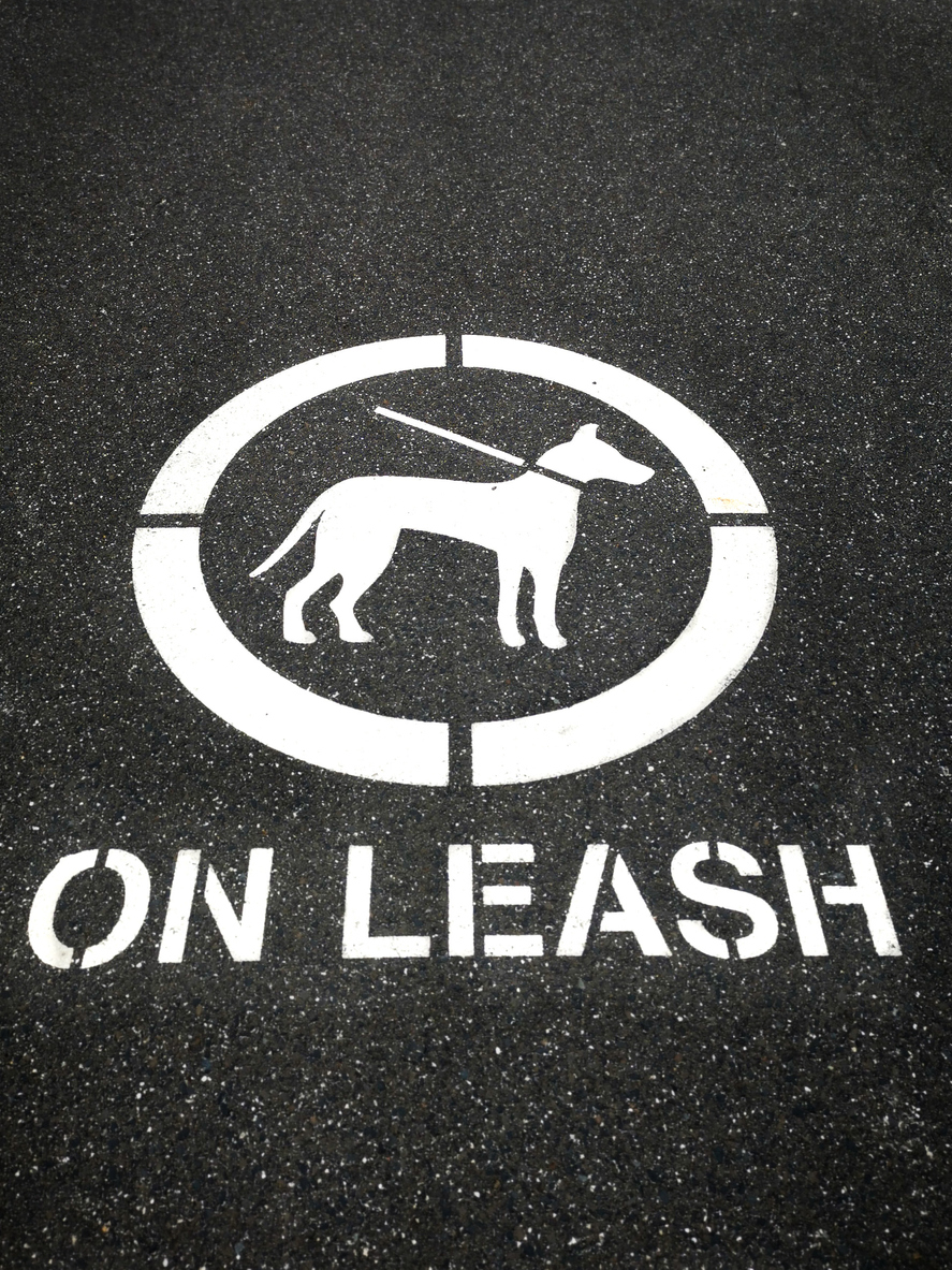 The push for greater powers to fine owners of dangerous dogs