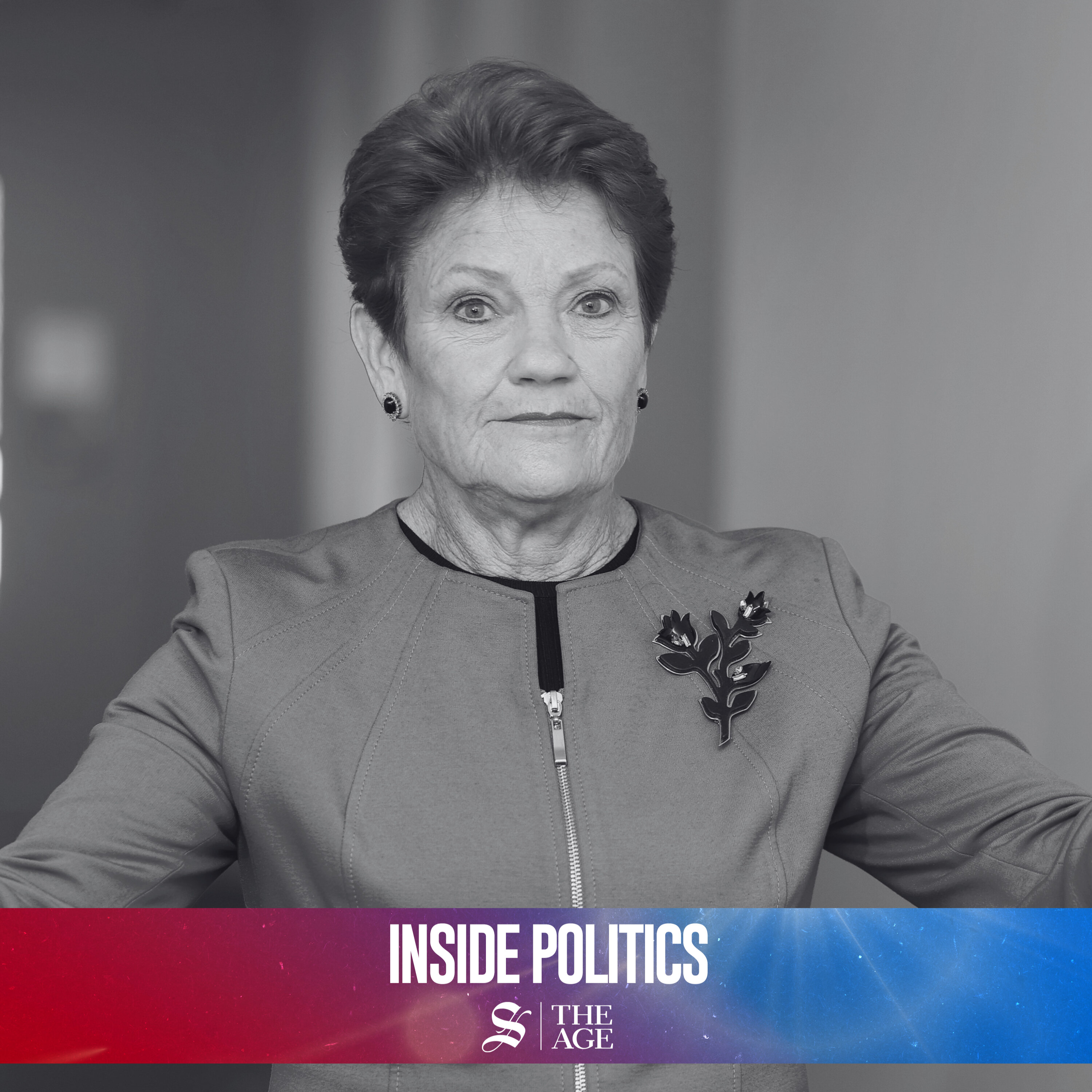 Polls, the media and what's really driving One Nation’s support episode artwork