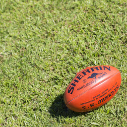 Junior footy club banned from finals due to administrative error