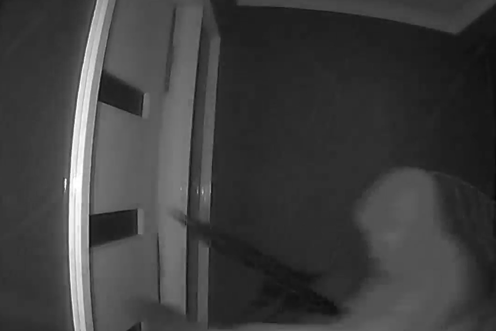 Police hunt for gun-wielding thugs who smashed down door in terrifying home invasion