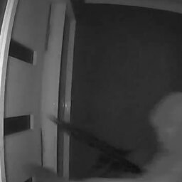 Police hunt for gun-wielding thugs who smashed down door in terrifying home invasion