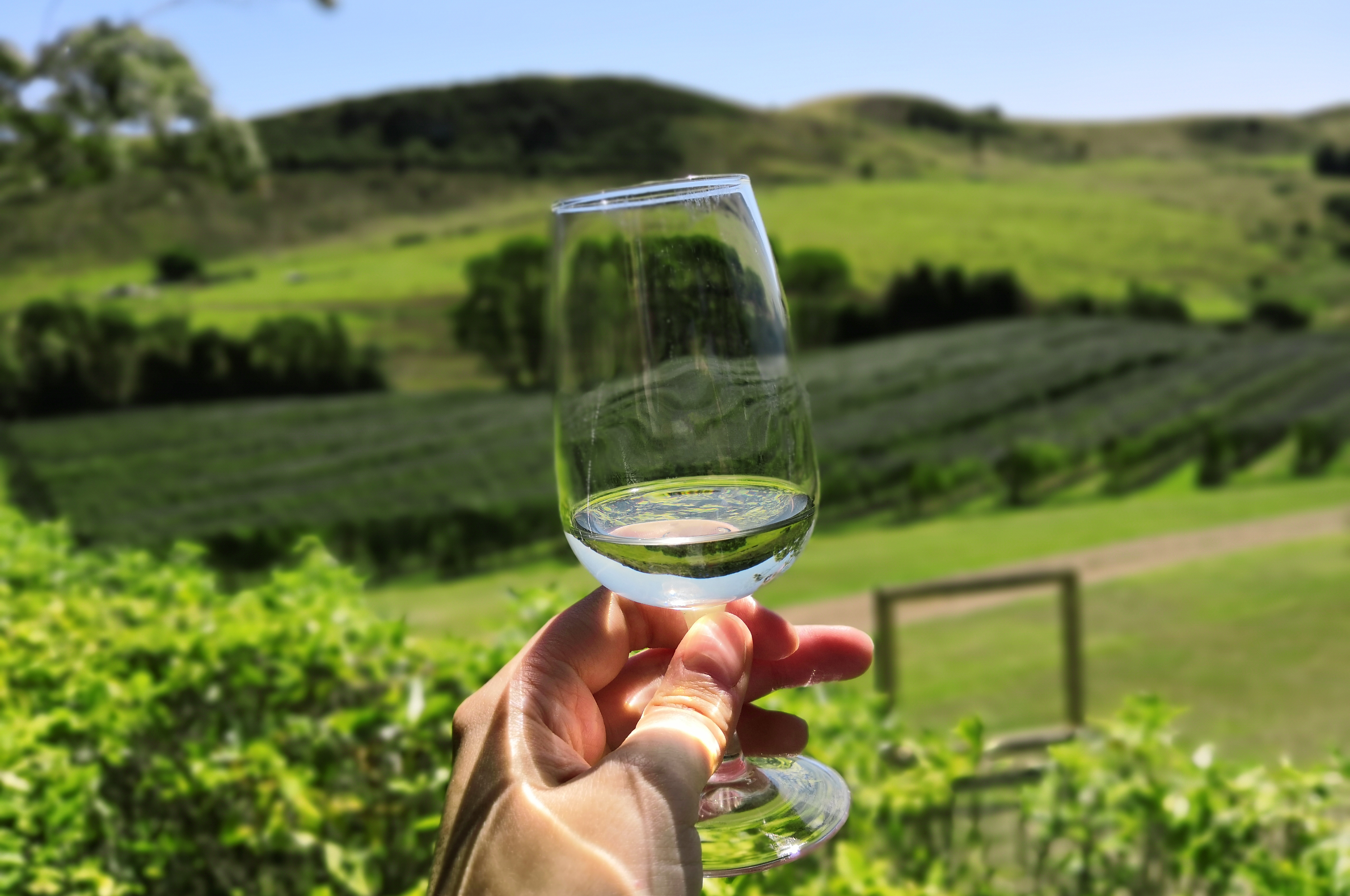 Australians warned to brace for sharp wine price hike