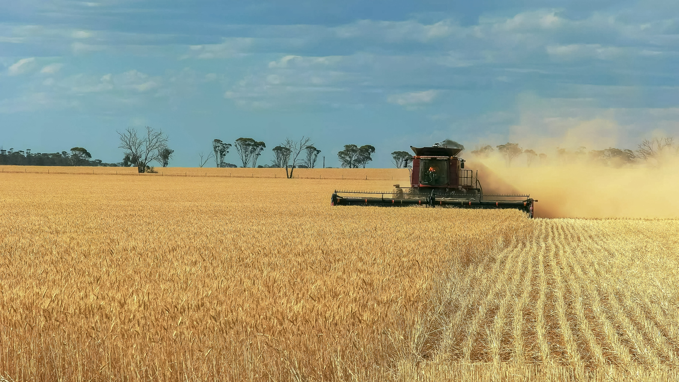 Australian farmers expecting record winter crop harvest