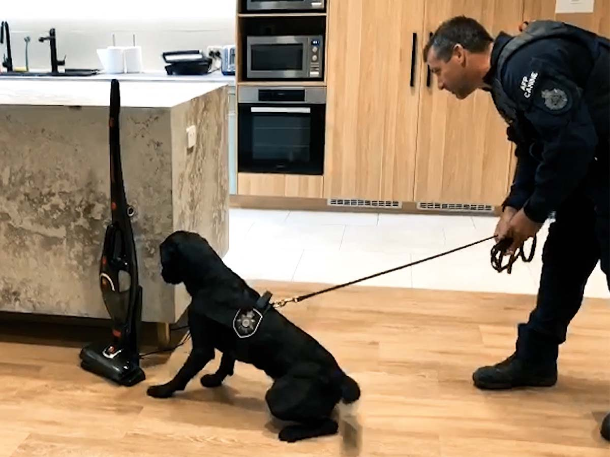 How tech dogs are sniffing out criminals