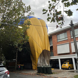 'Pretty scary': Hot air balloon crashes on homes in Elwood