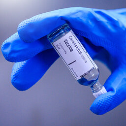 WHO's plea as countries 'scramble' for COVID-19 vaccines