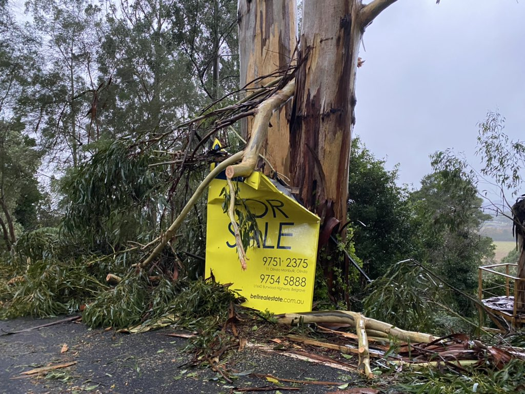 SES reveals staggering number of call-outs as nasty storm batters Victoria