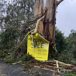 SES reveals staggering number of call-outs as nasty storm batters Victoria