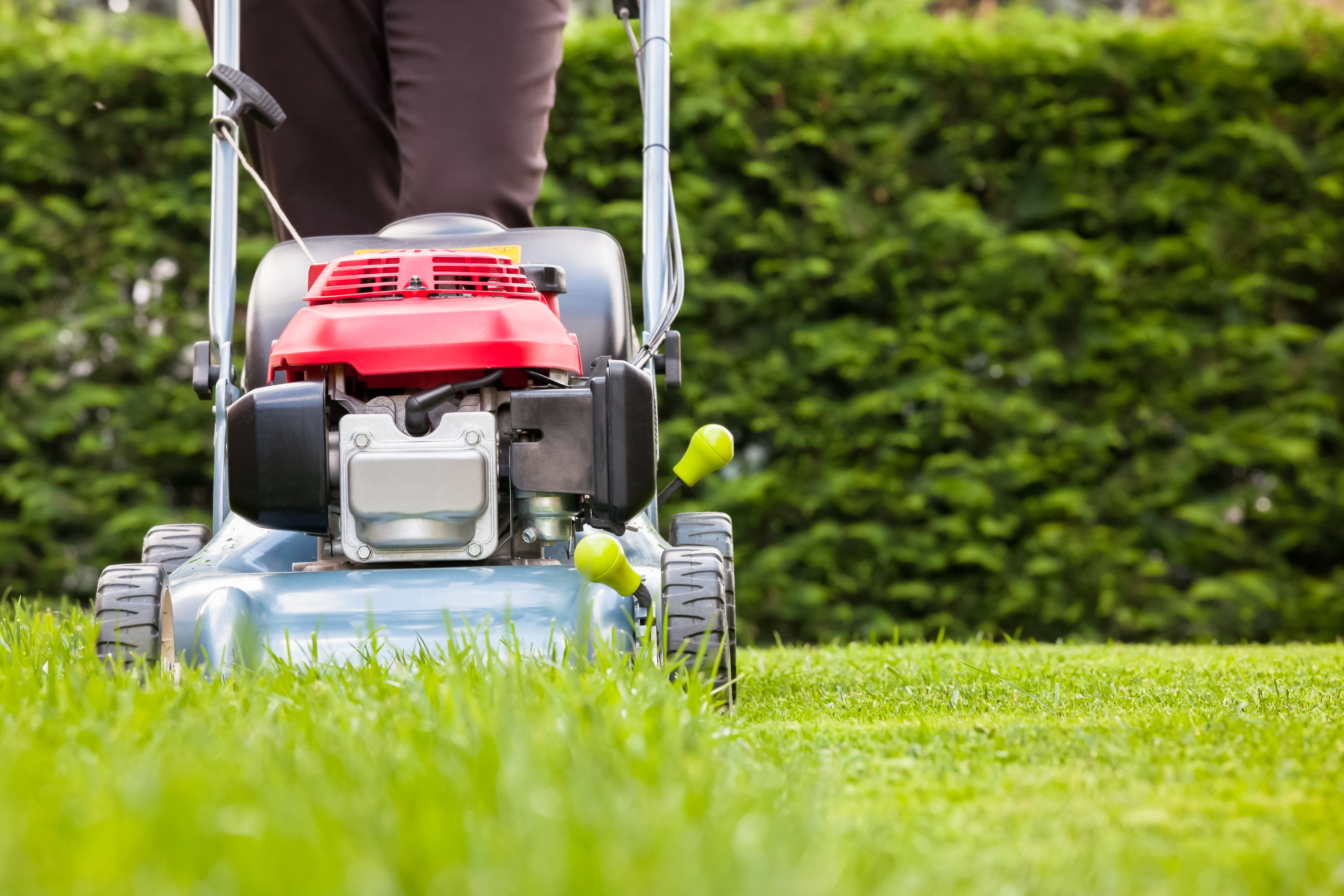 Why Brits are being encouraged not to mow their lawns