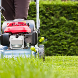 Why Brits are being encouraged not to mow their lawns