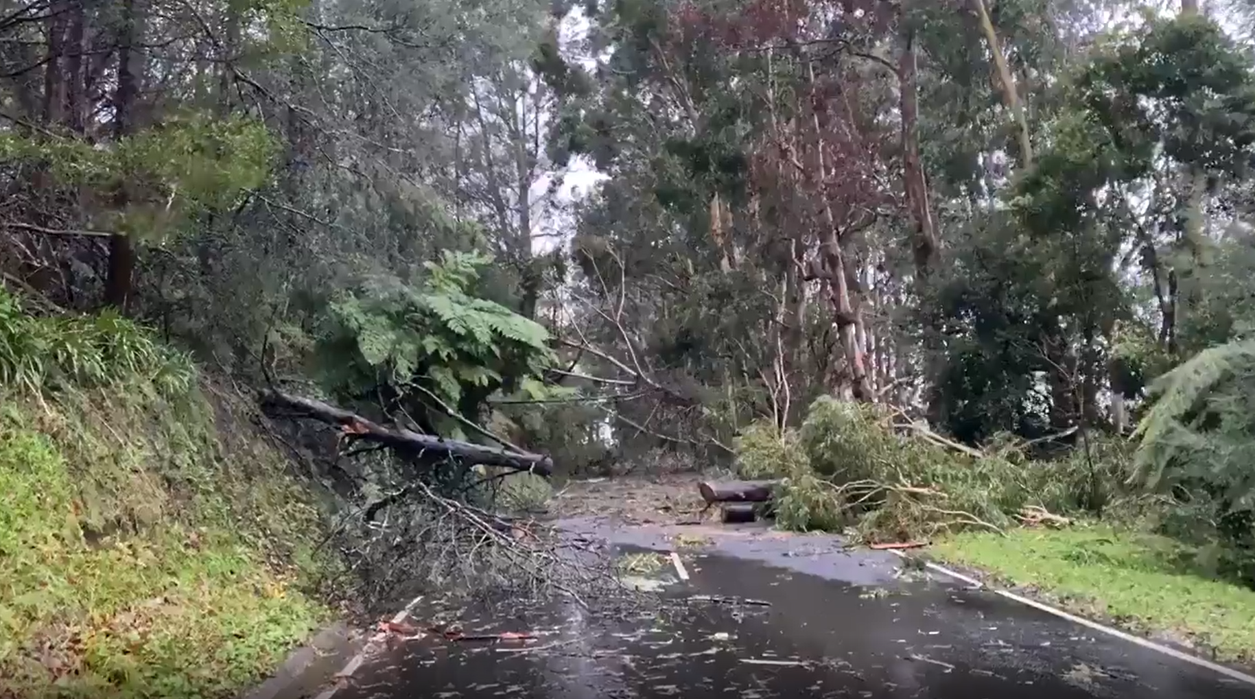 Victorians assess 'horrendous' damage after wild storms