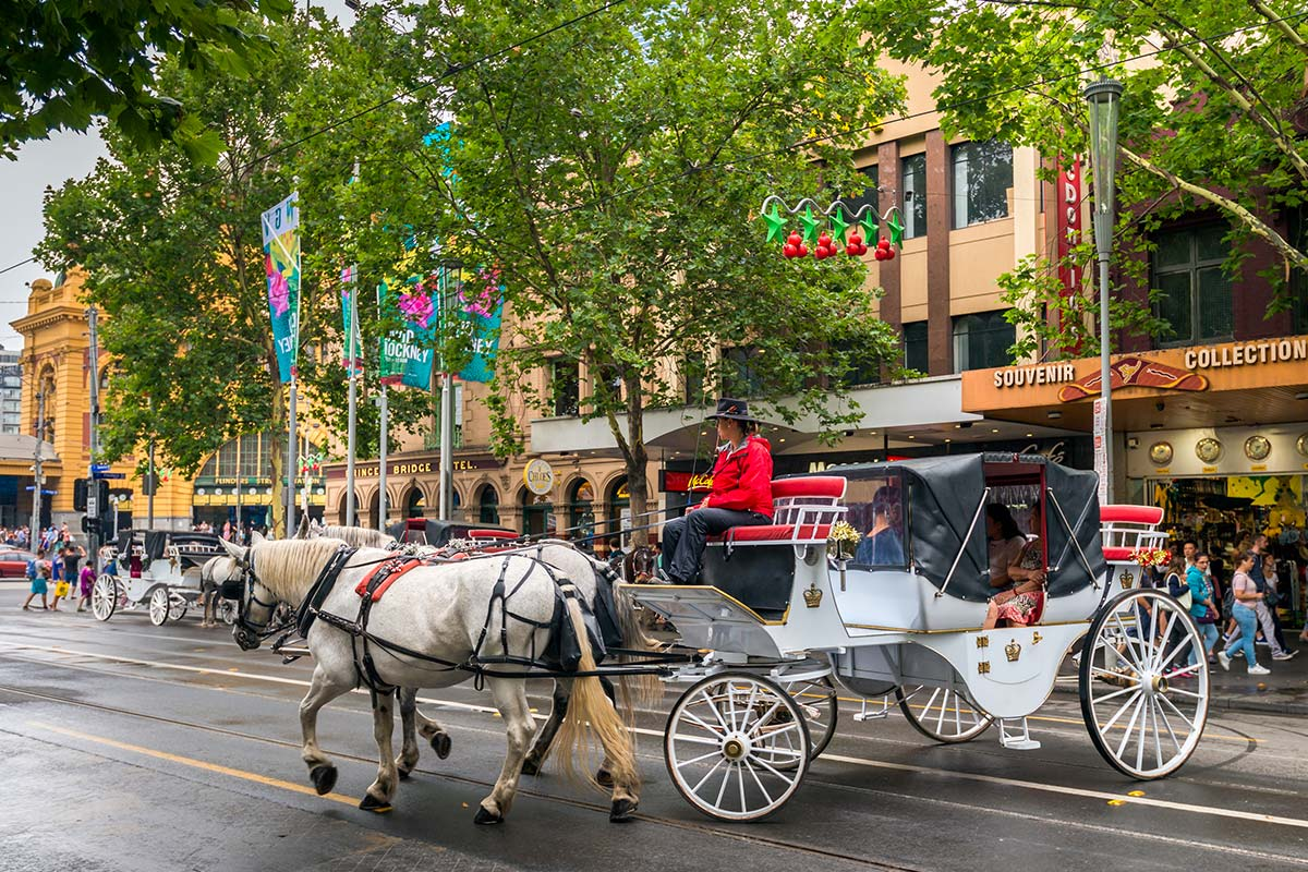 Horse-drawn carriage operator says proposed CBD ban is 'very, very political'