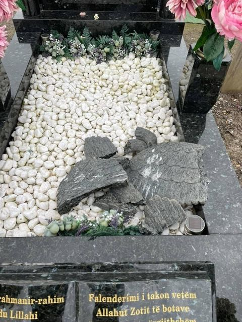 More than 50 graves targeted in 'senseless' cemetery vandalism spree