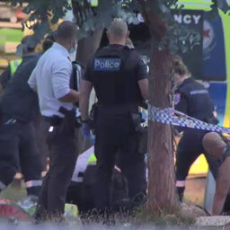 Woman and six-year-old girl dead after stabbing attack in Melbourne's north-east