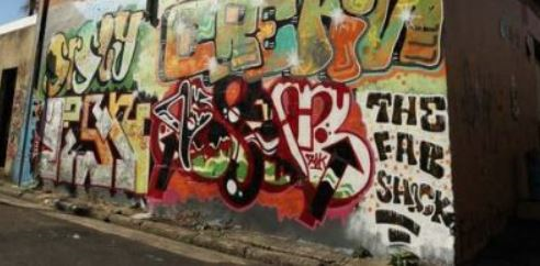 Senior cop springs into action after he spots a man tagging in the CBD