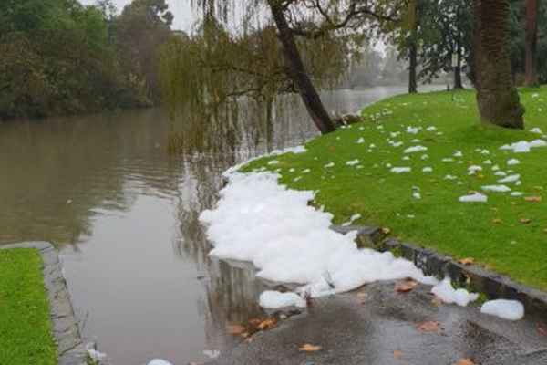 Why Merri Creek 'looked like a bubble bath' yesterday