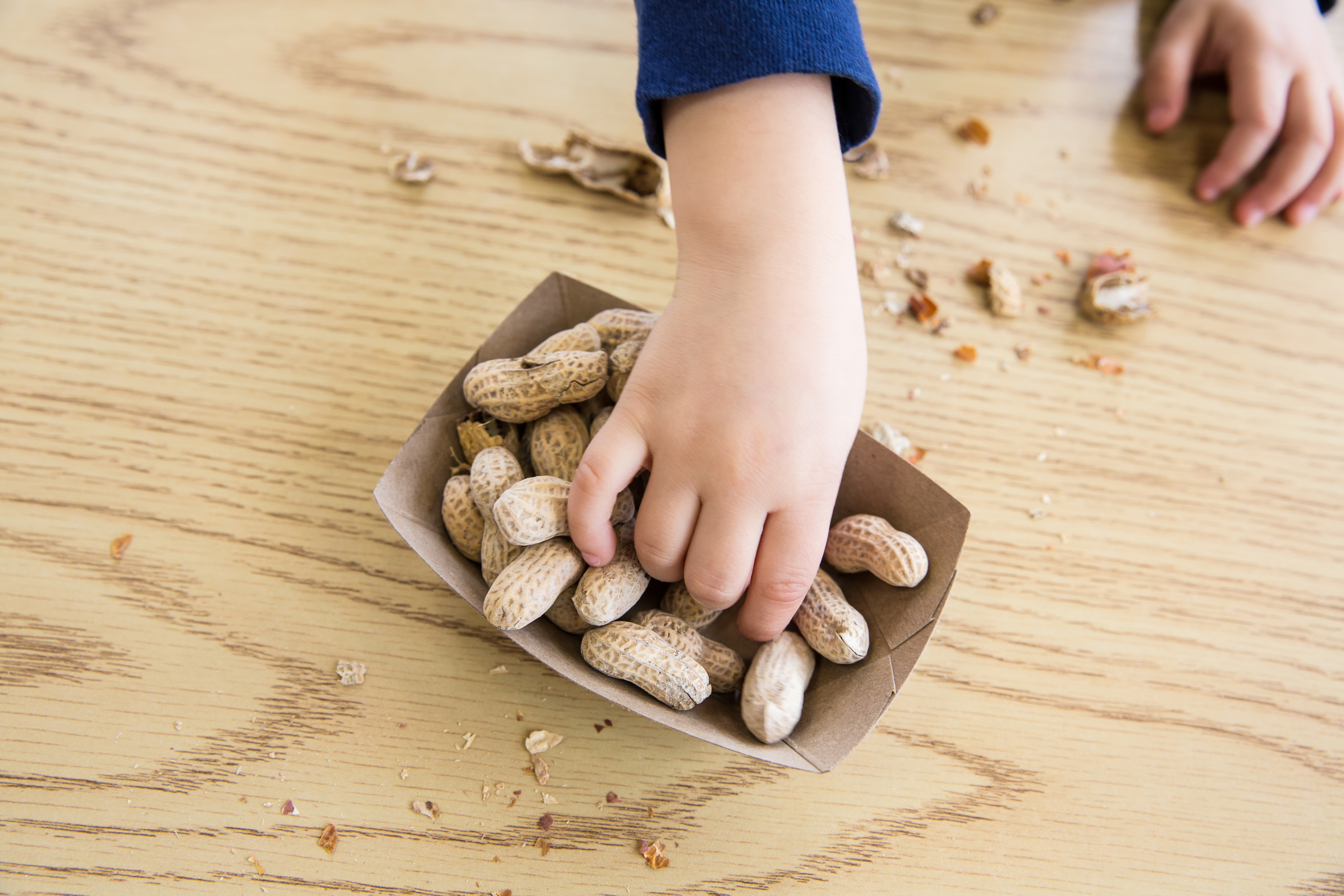 Why the rising rate of peanut allergies in Victorian kids has slowed
