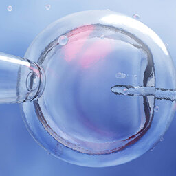 Landmark changes to IVF rules mean it 'will become easier' for all