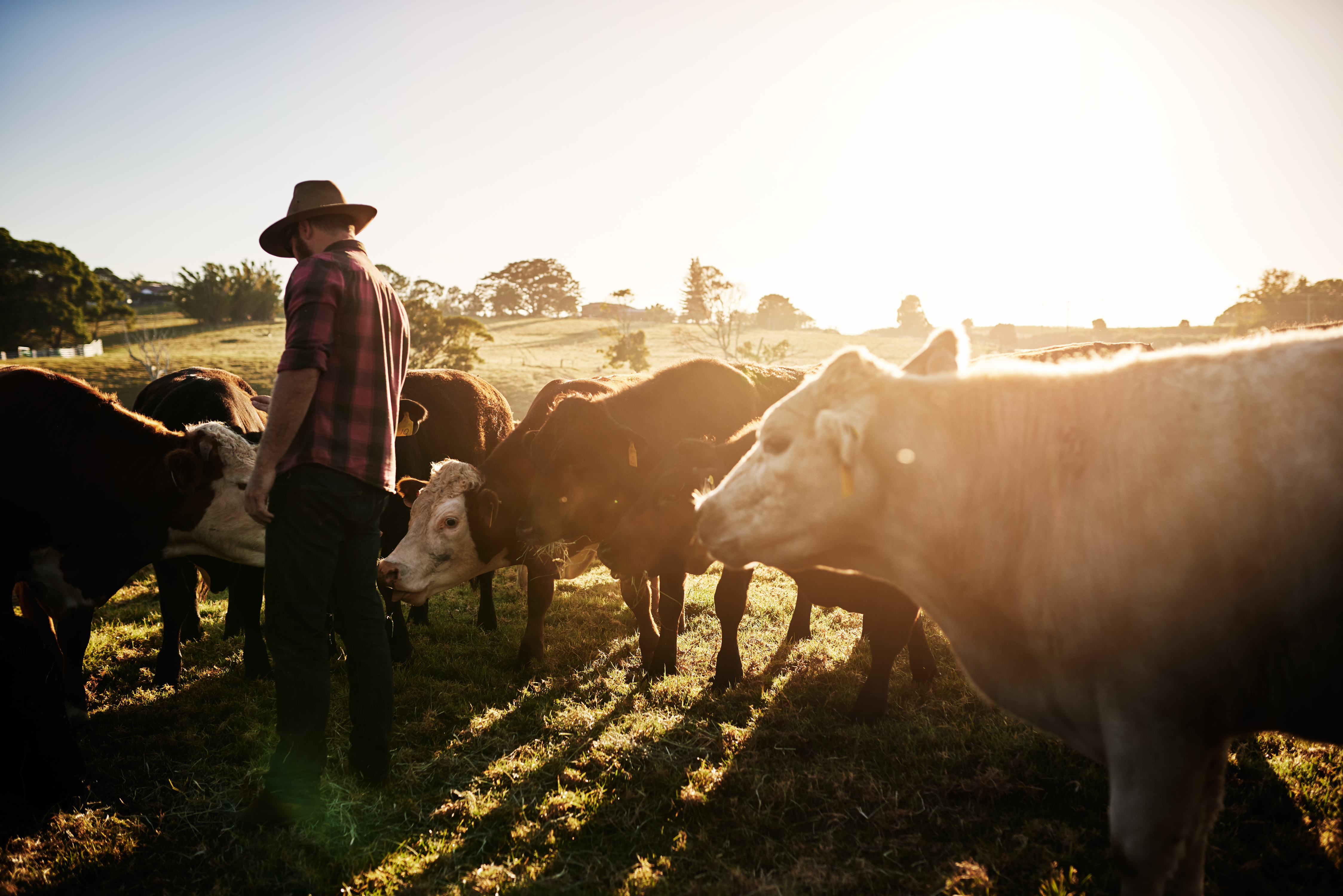 Victorian farmers rejoice amid 'best season in their lifetimes'