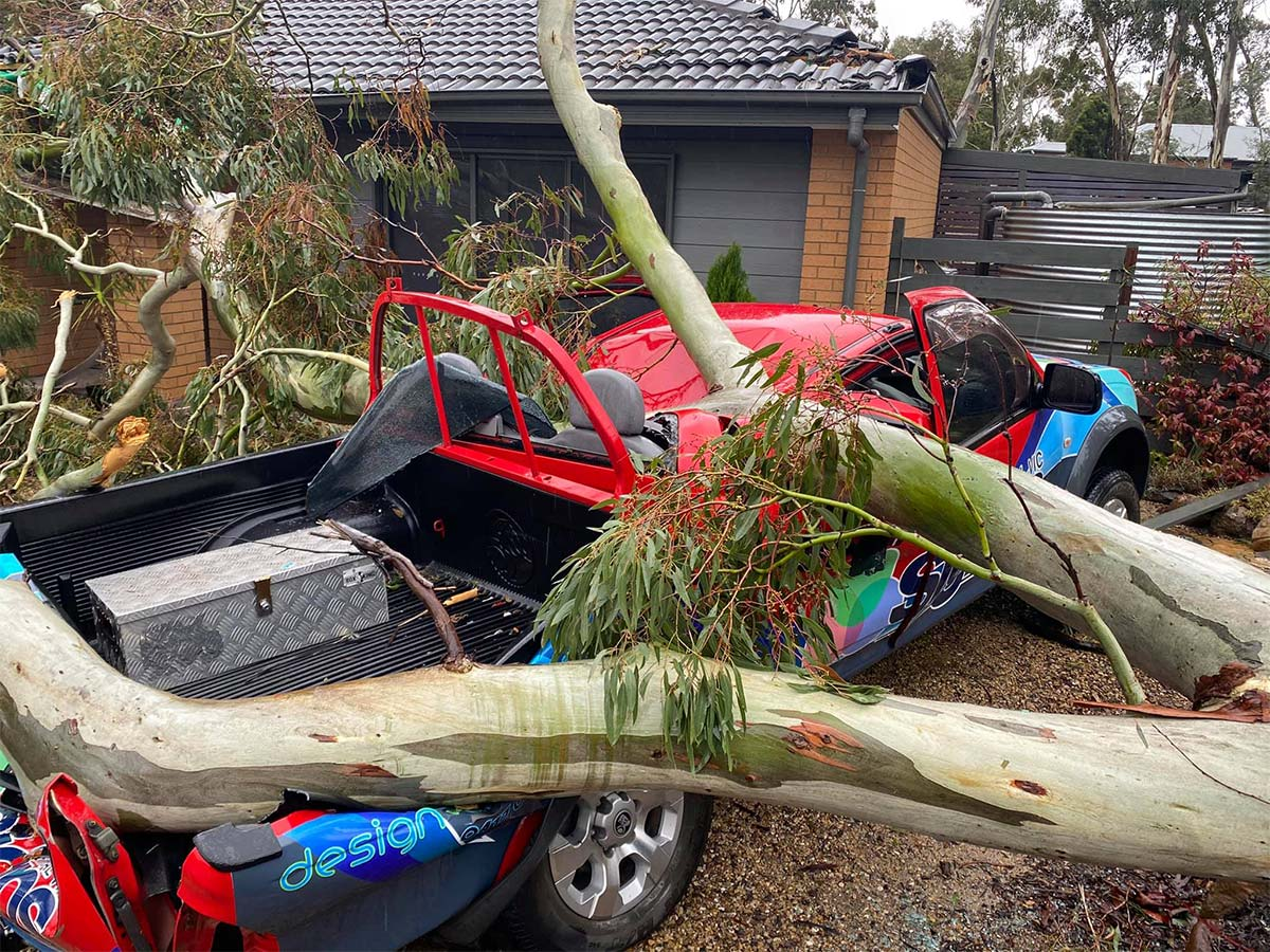 3AW Breakfast helps out a CFA volunteer who narrowly avoided being crushed by a tree