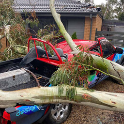 3AW Breakfast helps out a CFA volunteer who narrowly avoided being crushed by a tree
