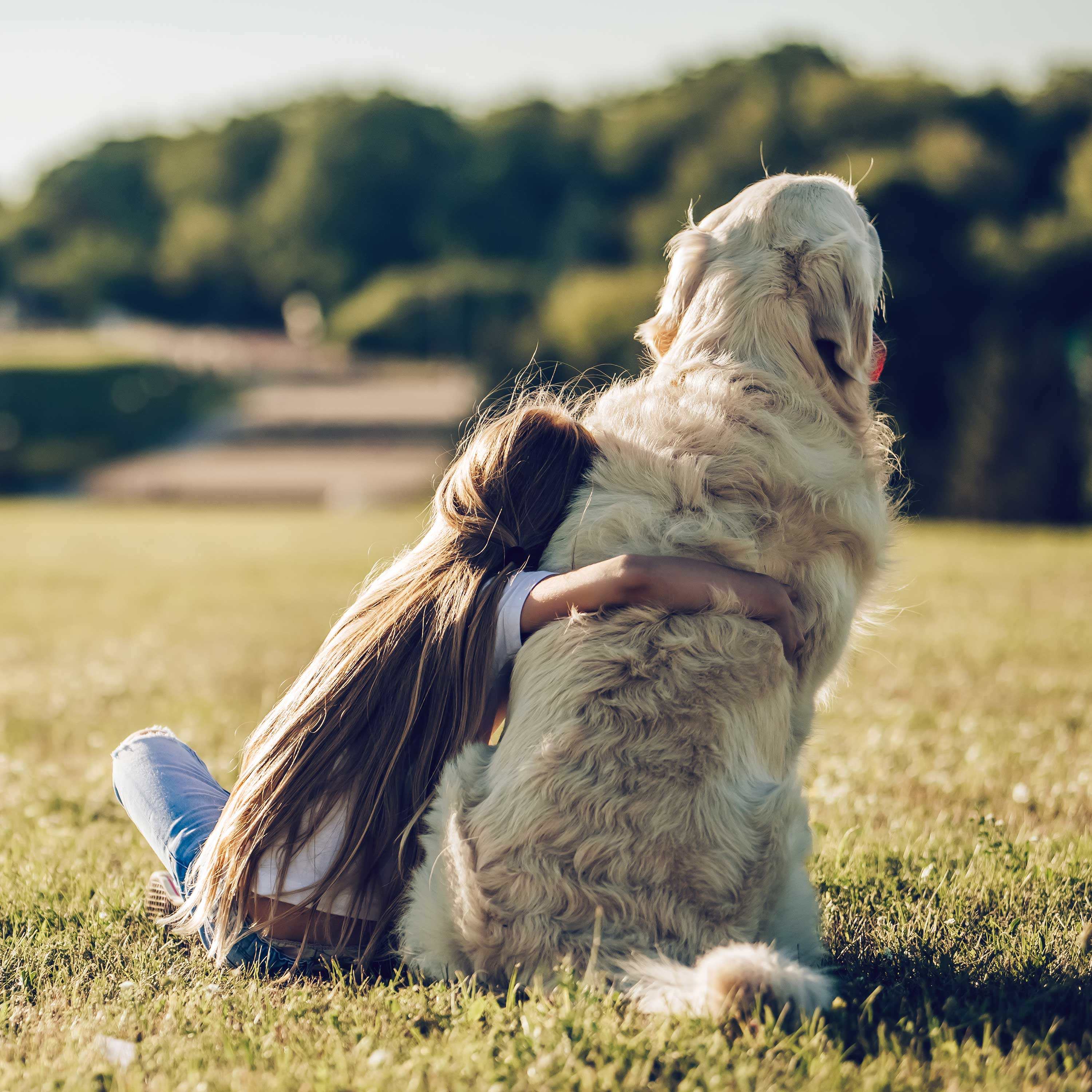 How pets helped anxious children cope with lockdown