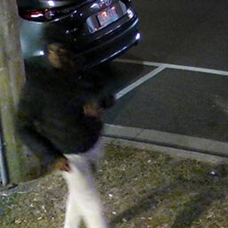 Police hunt for knife-wielding man after woman dragged along the road in nasty carjacking