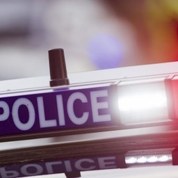 Police are appealing for public assistance following an attempted abduction