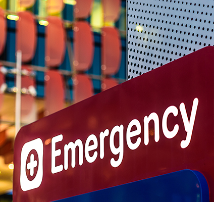 Australia's most dangerous venomous creature revealed