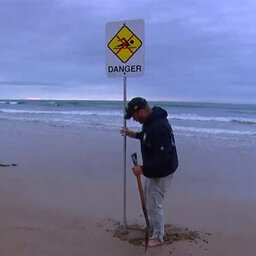 Shark expert weighs in on what species likely attacked teens at Ocean Grove