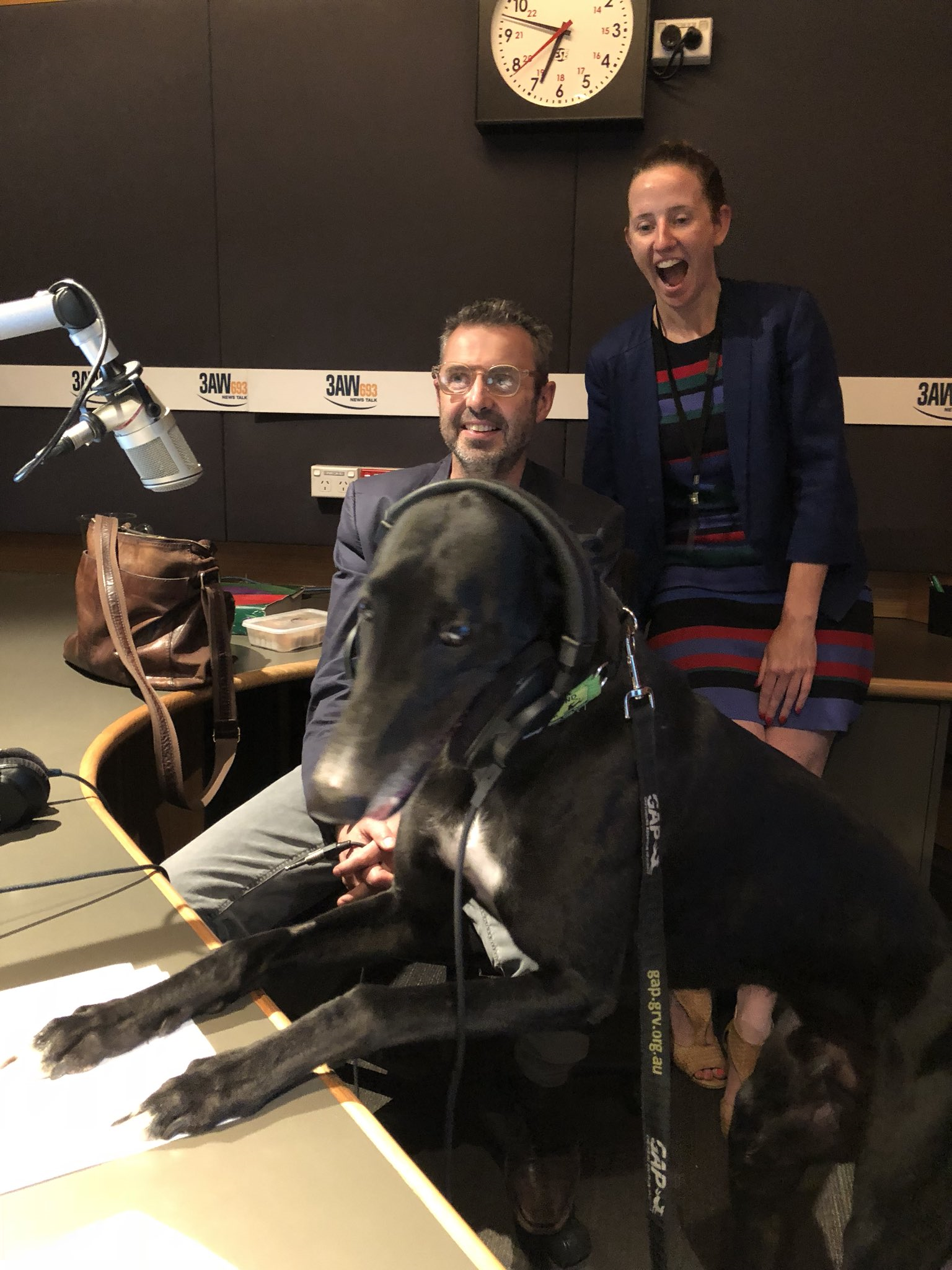 Greyhounds visit Kate and Justin in new adoption push