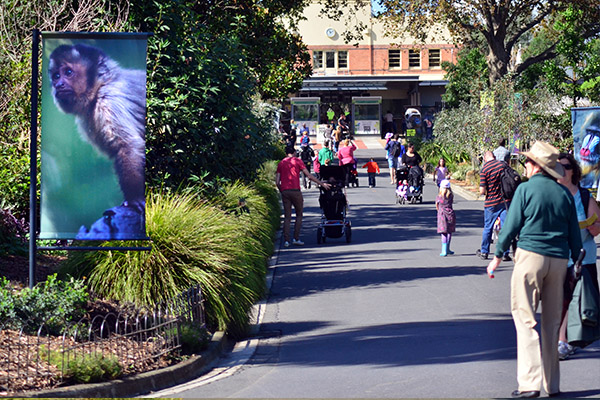 RUMOUR CONFIRMED: Rush on tickets as Melbourne's zoos reopen