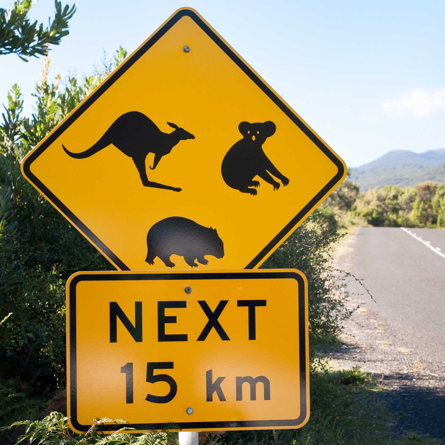 Australian wildlife 'under attack' like never before