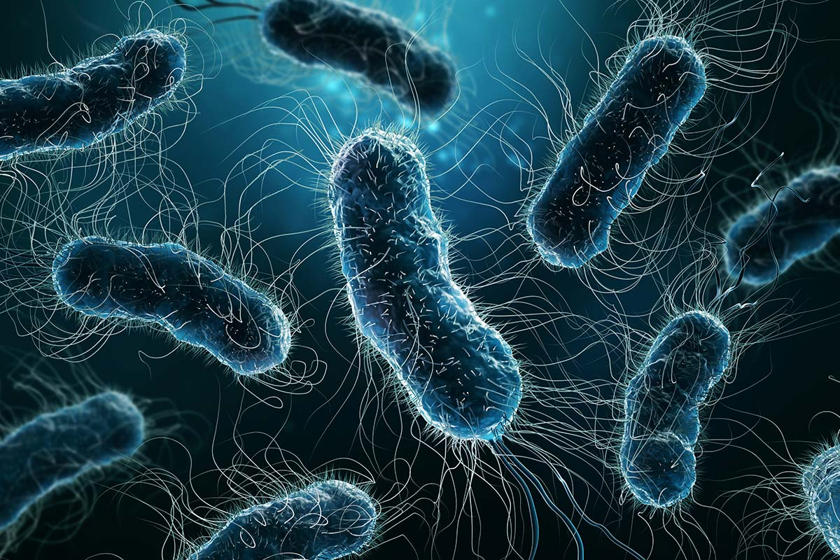 Alarm sounded about surge in cases of 'really horrible' preventable disease