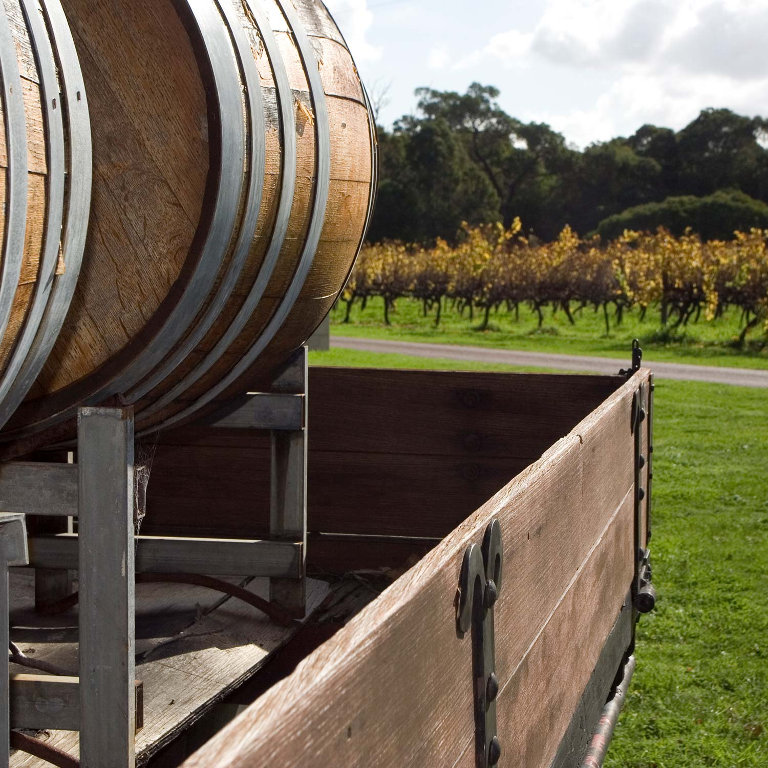 Victorian wineries are falling 'through another crack' as they battle to stay afloat