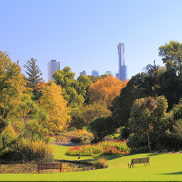 Melbourne's Royal Botanic Gardens has a new garden