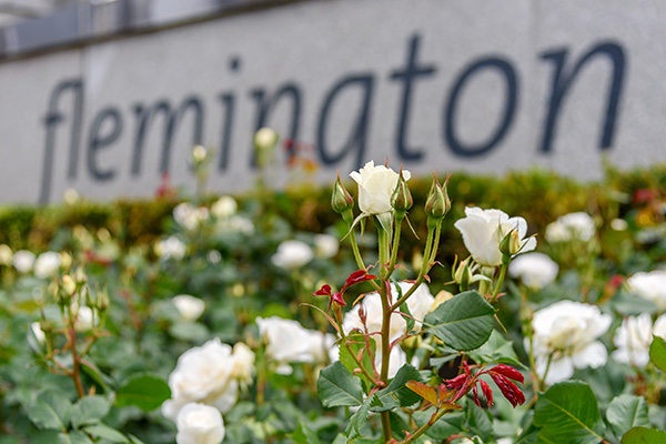 'Signpost that Melbourne is back': Flemington 'buzzing' ahead of Melbourne Cup