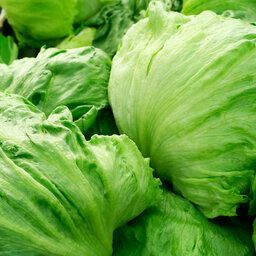 What's fuelling skyrocketing lettuce prices (and the next vegetable likely to be in short supply)