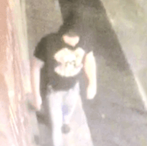 Search for ski-masked attacker who grabbed a woman in a frightening Hawthorn attack