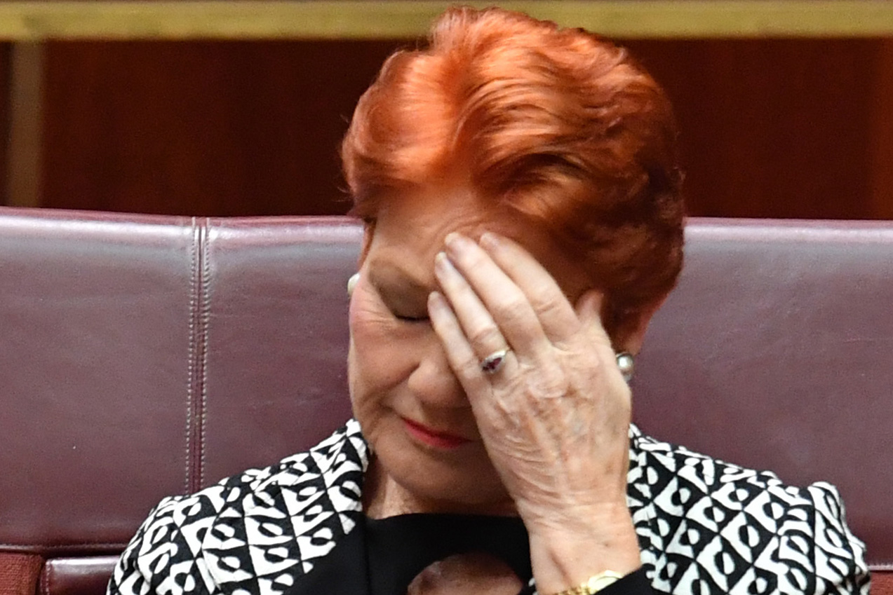 Pauline Hanson's website domain has been snapped up and redirected
