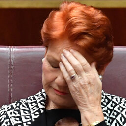 Pauline Hanson's website domain has been snapped up and redirected