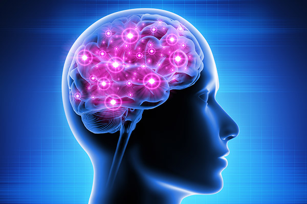 Melbourne researchers give paralysed patients the power to control a computer with their thoughts