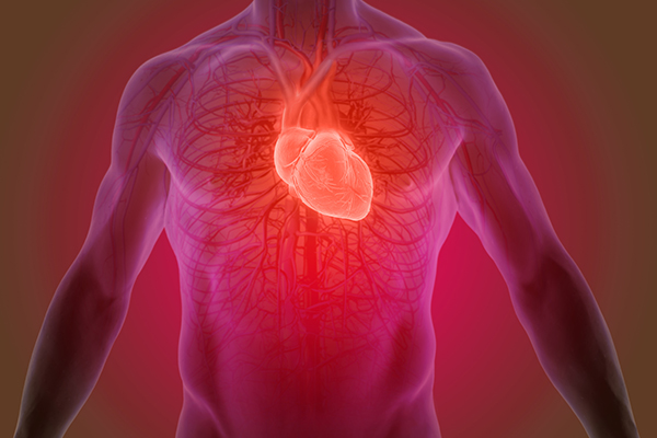 Victorians wanted for heart disease trial