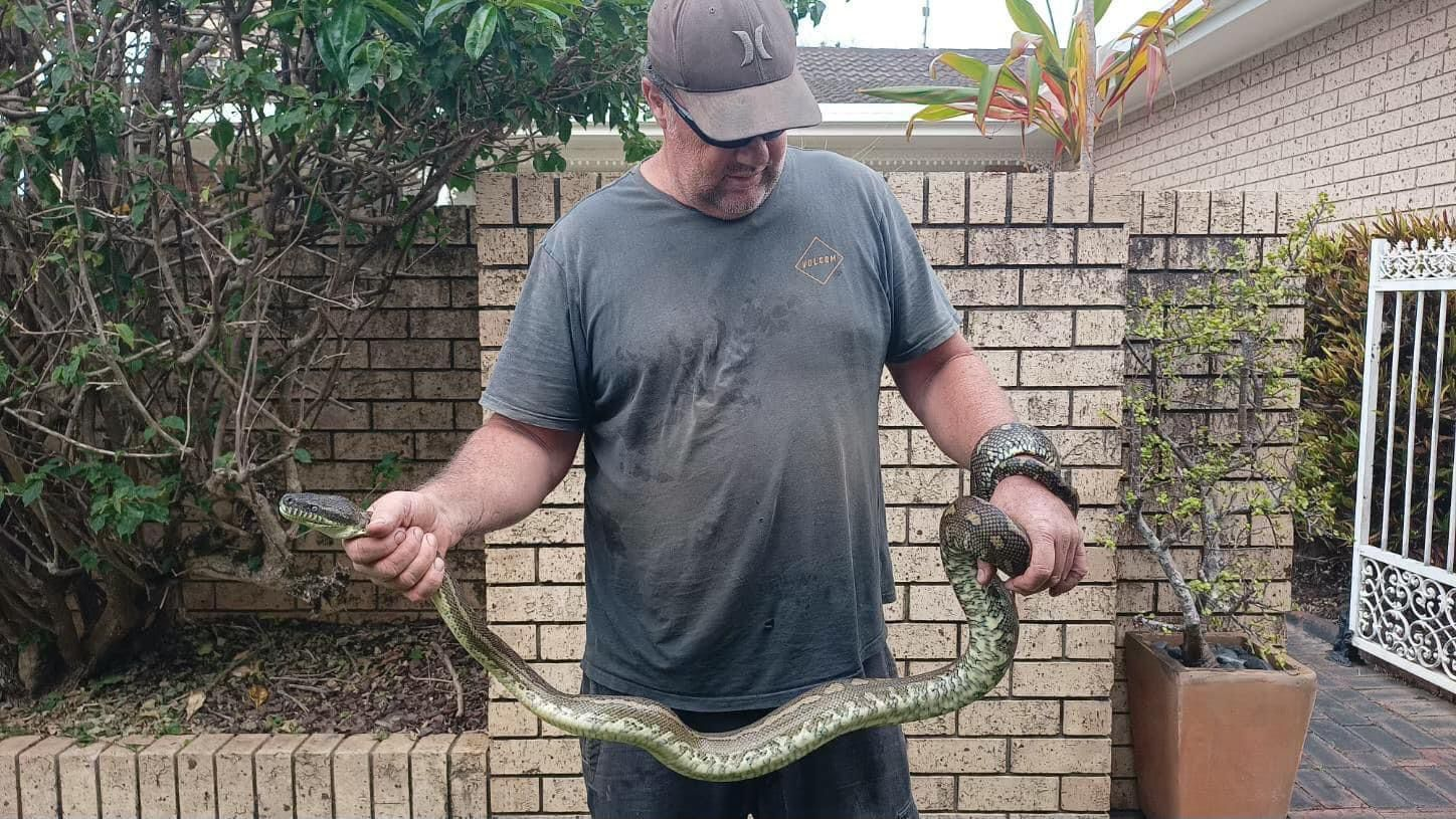 Five-year-old bitten and dragged into pool by huge python
