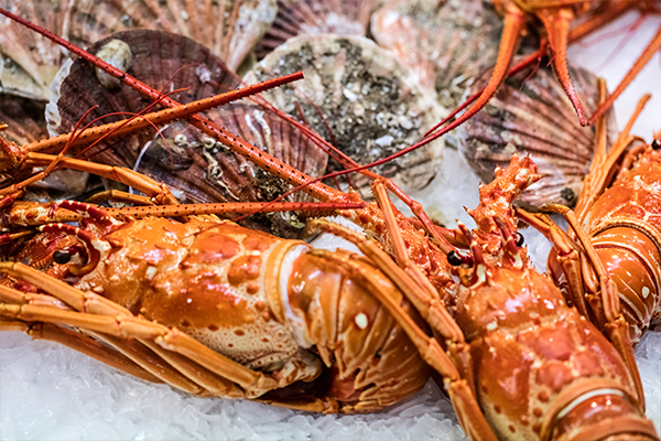 Bargain price Victorian rock lobster as industry 'battles it out'