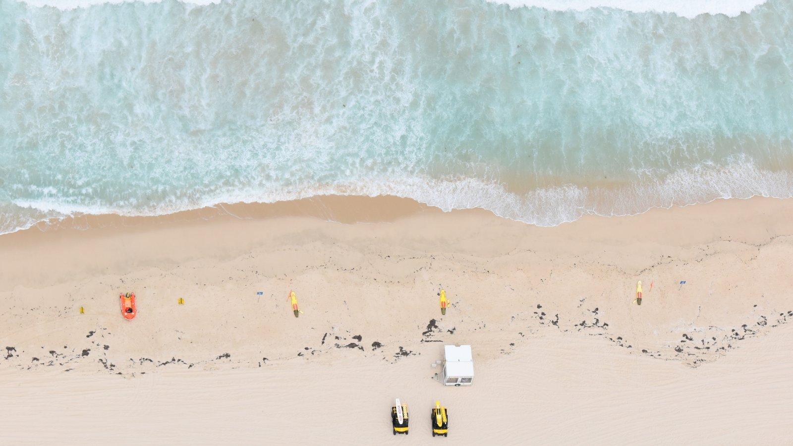 Will Schofield's close encounter with a Tiger Shark at Brighton beach