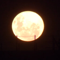 Millsy gets into Astrology with the 'pink' full moon and its secrets