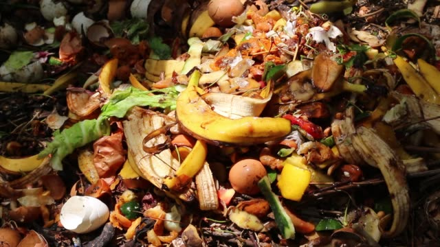 'The raw end of the deal' Proposed tax on farmers for food waste slammed