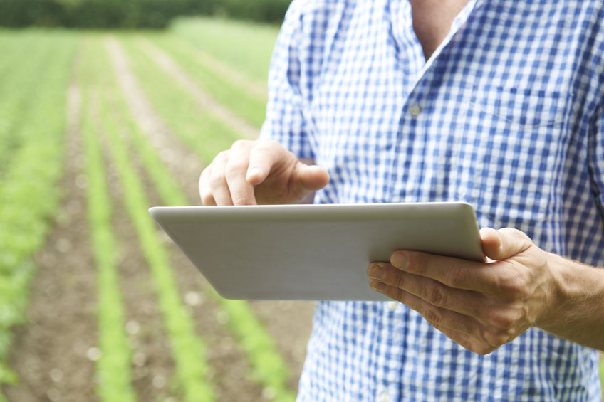 High commodity prices help sustain farmer confidence